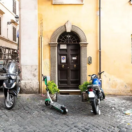 Rooftop Colosseum Rom