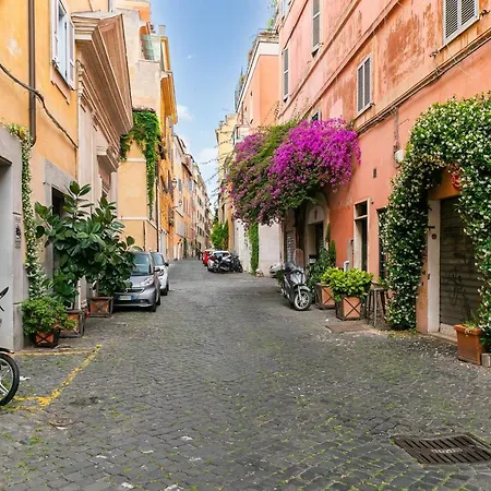 Rooftop Colosseum * Roma